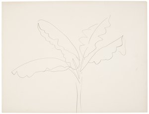 Muz ağacı (Tahiti) by Henri Matisse