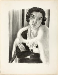 Beyaz Tilki by Henri Matisse