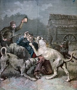Üç büyük köpeğin saldırısına uğrayan bir suçlu, 1891 by Henri Meyer