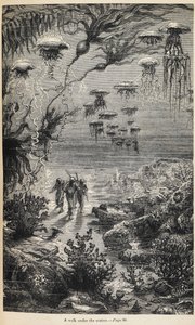 Jules Verne tarafından yazılan 'Denizler Altında 20 000 Fersah' için İllüstrasyon