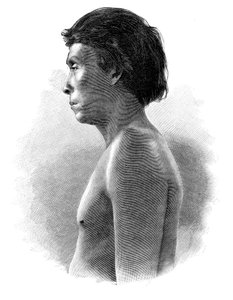 Guatsu Hint, Orta Amerika, c1890