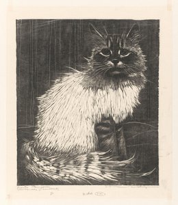 Bonte Angora (nesne üzerindeki orijinal başlık)