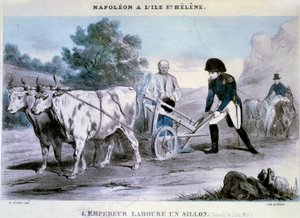 Napolyon I (1769-1821) bir Saint Helene: imparator bir karık açar (30/06/1816) Hain Litografisi. 1816 Ile d