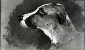 Head of a Dog with Short Ears, 1879 by Henri de Toulouse Lautrec