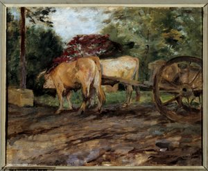 Boyunduruk altındaki öküz Tablosu Henri de Toulouse Lautrec (1864-1901) 19. yüzyıl Bordeaux, Musee des Beaux Arts by Henri de Toulouse Lautrec