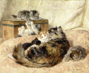 anne bakımı by Henriëtte Ronner Knip