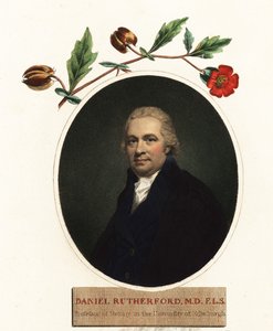 Daniel Rutherford