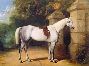 ಎ ಗ್ರೇ ಹಾರ್ಸ್ ಬೈ ಪಾರ್ಕ್ ಗೇಟ್ಸ್, 1851 ಟರ್ಕ್