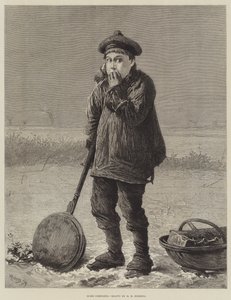 Ev Konforu