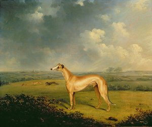 Muhterem Henry Bate Dudley