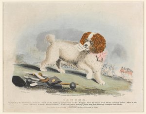 ?Sancho?, Salamanca Savaşı, 1812