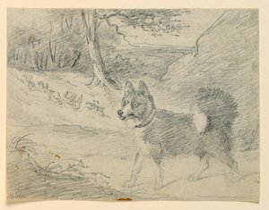 Bir Elk Hound Çalışması by Henry Bernard Chalon