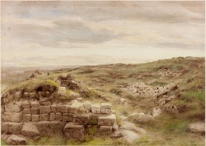 Ev eşyaları (gövde rengi) by Henry Burdon Richardson