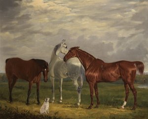Lord de Tabley ve Köpeğinin Üç Atı, Vic, 1838