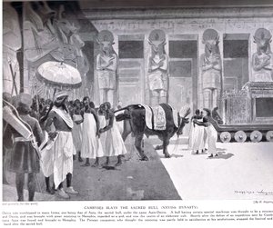Cambyses Kutsal Boğa