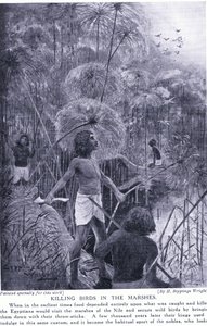 Bataklıklarda kuş öldürmek, 1920 dolayları by Henry Charles Seppings Wright