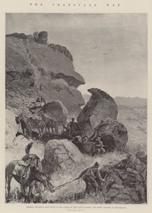 Transvaal Savaşı