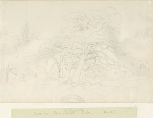 Beaudesert Park: karakalem, nd [1788-1855]
