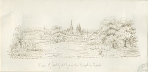 Lichfield - Kuzey Görünümü (uzaktan): kalem çizimi, nd [1788-1855] (çizim) by Henry Curzon Allport