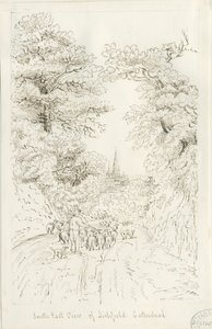 Lichfield Katedrali - Güney Doğu Görünümü (uzaktan): karakalem, ve [19.yüzyıl] (çizim)