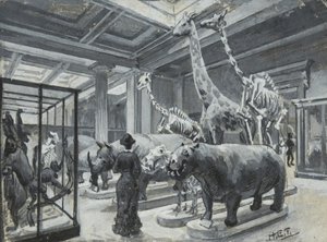 Hayvan sergileri içeren galeriyi gösteren British Museum