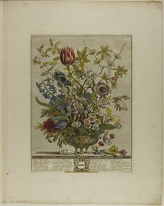 On İki Aylık Çiçeklerden Şubat by Henry Fletcher