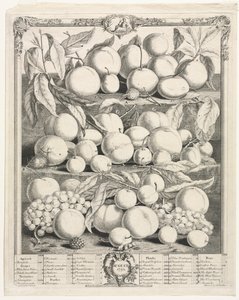 On İki Aylık Meyve: Ağustos 1732. by Henry Fletcher