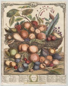 On İki Aylık Meyve: Temmuz, 1732. by Henry Fletcher