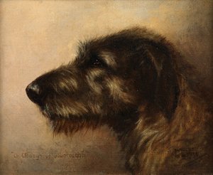 Ouborough Şampiyonu Clodagh, bir İrlanda Kurt Köpeği by Henry Frederick Lucas Lucas