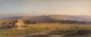 South Downs Meraları, 1867