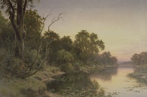 Murray Nehri
