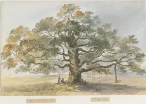 Blithfield - Dilenci Meşesi : sulu boya boyama, 1844