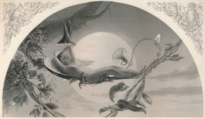 Ariel Fırtına, c1870