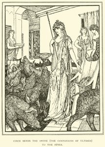 Circe, Domuzu (Ulysses