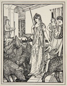 Circe, Domuz