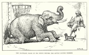  by Henry Justice Ford