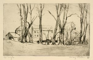 Büyük ağaçların arasında görülen hastane benzeri bina by Henry Nielsen
