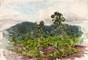 Highlands, N.C., 1889. by Henry Ossawa Tanner