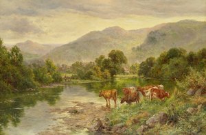 Kilise Havuzu, Bettws-y-Coed (petrol)