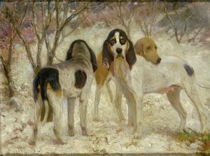 Vrelay-Eski İngiliz Geyik Av Köpekleri