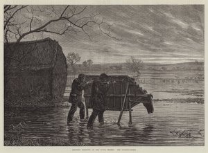 Yukarı Thames Nehri