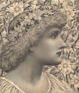 Florimel (kağıt üzerine kalem ve tebeşir) by Henry Ryland