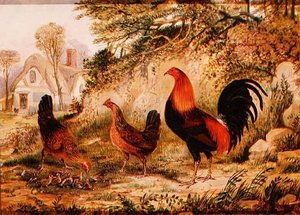 Horoz, Tavuklar ve Civcivler by Henry Thomas Alken