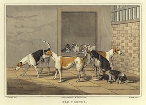 Tilki Av Köpekleri (kromolitho) by Henry Thomas Alken