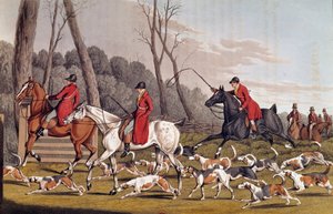 Avcılık: “” Tilki avı” Henri Alken (1774-1850) tarafından İngiliz litografisi 19. yüzyıl Paris, B.N.