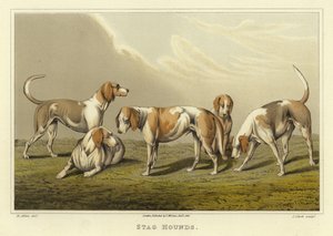 Geyik Av Köpekleri (kromolitho) by Henry Thomas Alken