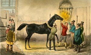 Baron, Islak, 1838 by Henry Thomas Alken