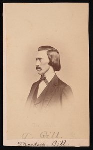 Theodore Nicholas Gill