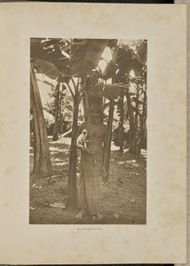 Yoldaşlar by Henry W. Cave