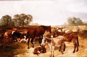 Hampstead Heath